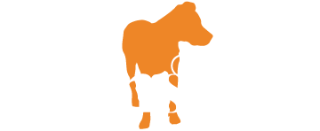 Winston Restaurant